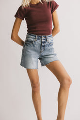 Ariel Distressed Denim Shorts