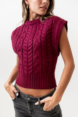 Lennie Cable Knit Top in Burgundy