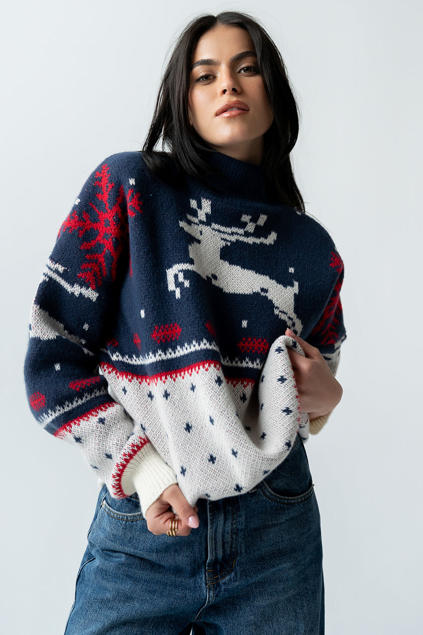 Vicky Graphic Sweater